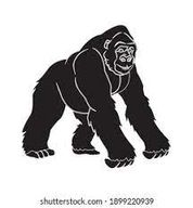 Gorilla Terminal