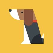 UXsniff