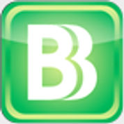 BizBudg Online
