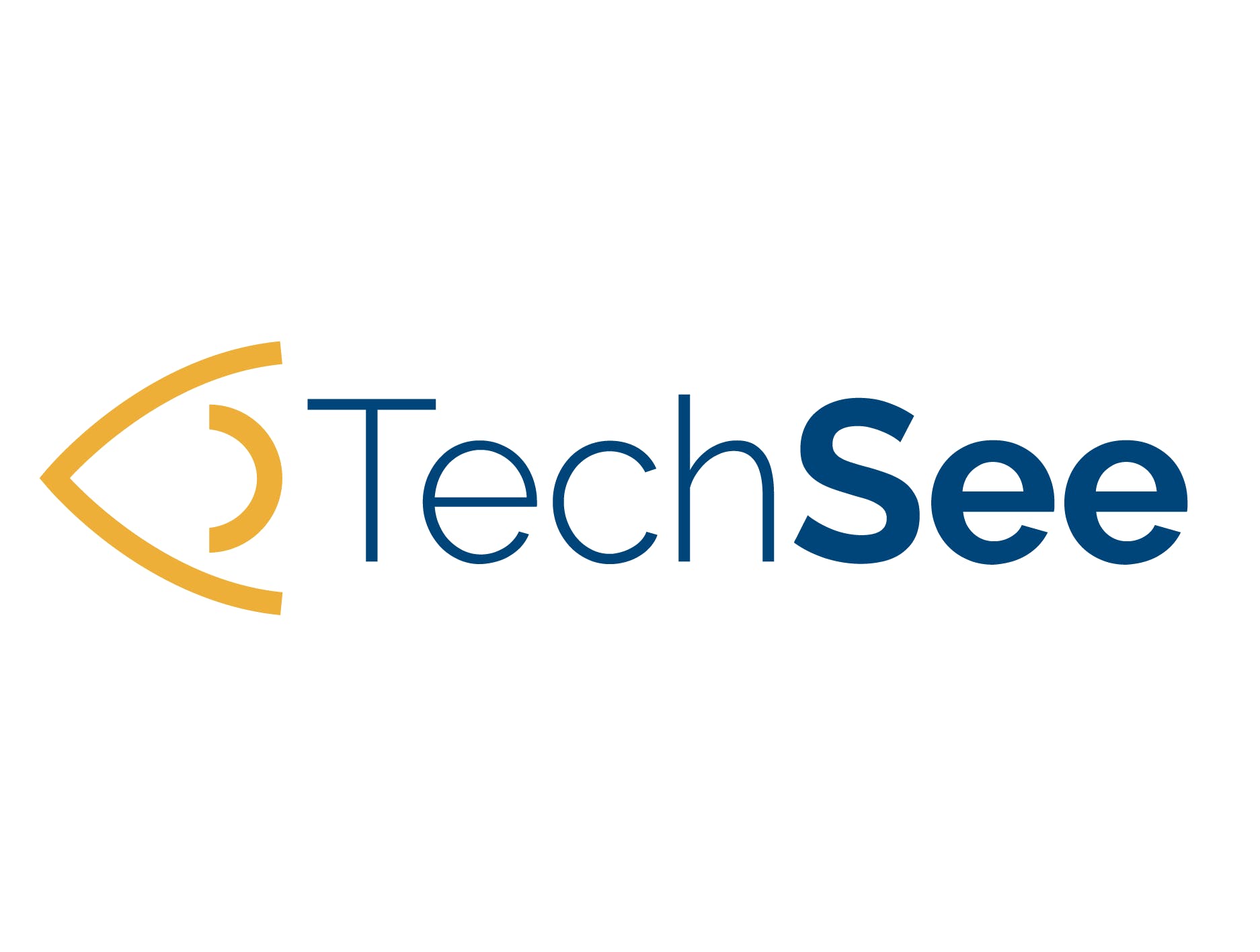 TechSee