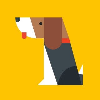 UX Sniff