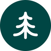 Pine