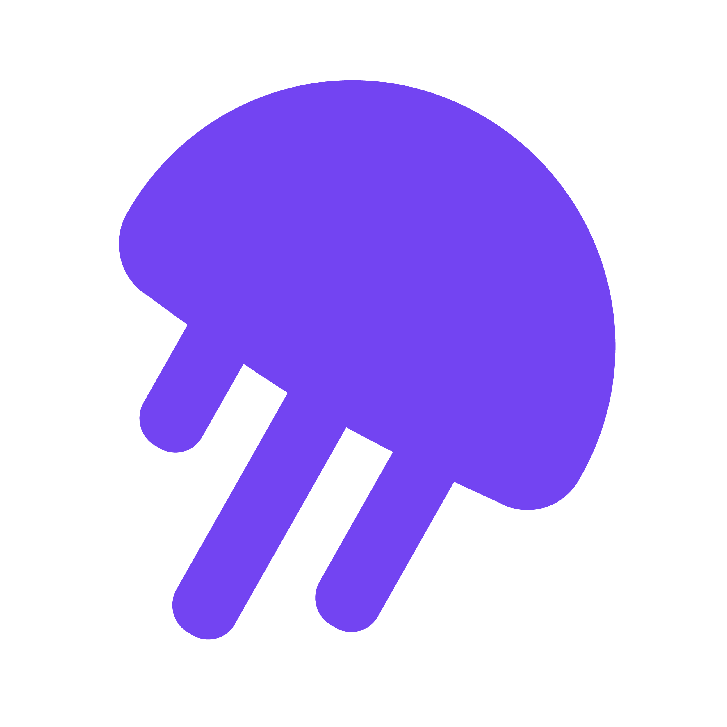 Jellyfish